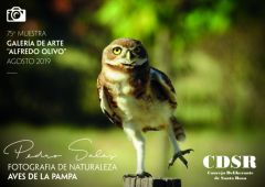 aP | Aves de la Pampa, Pedro Salas fotografía