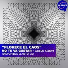 aP | Florece En El Caos - NTVG